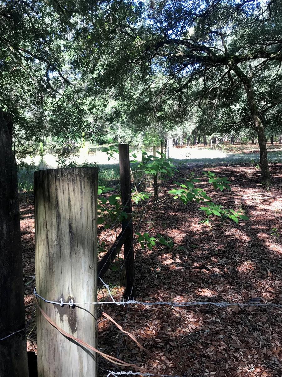 00 UNNAMED — photo 50