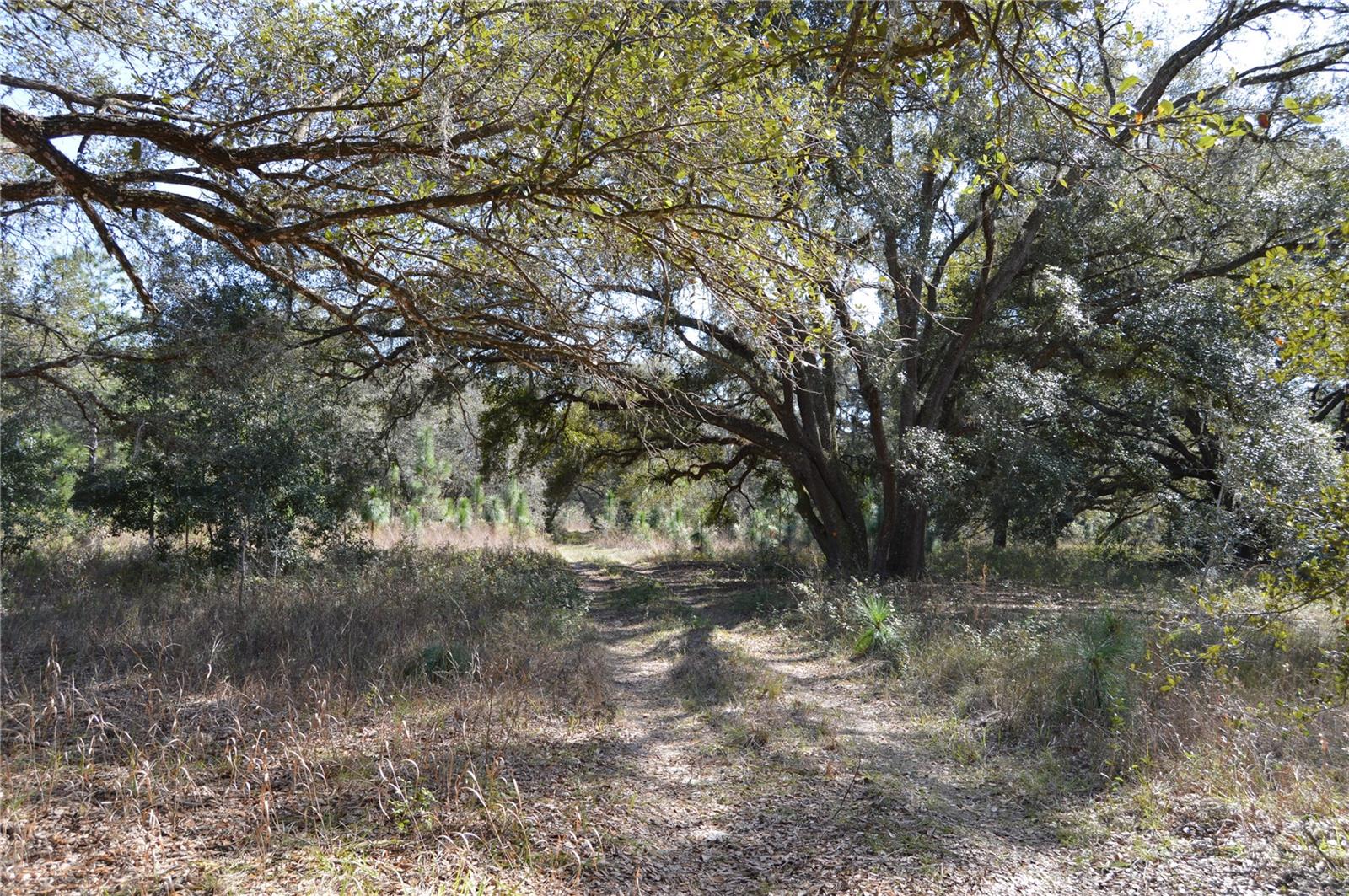 00 UNNAMED — photo 12
