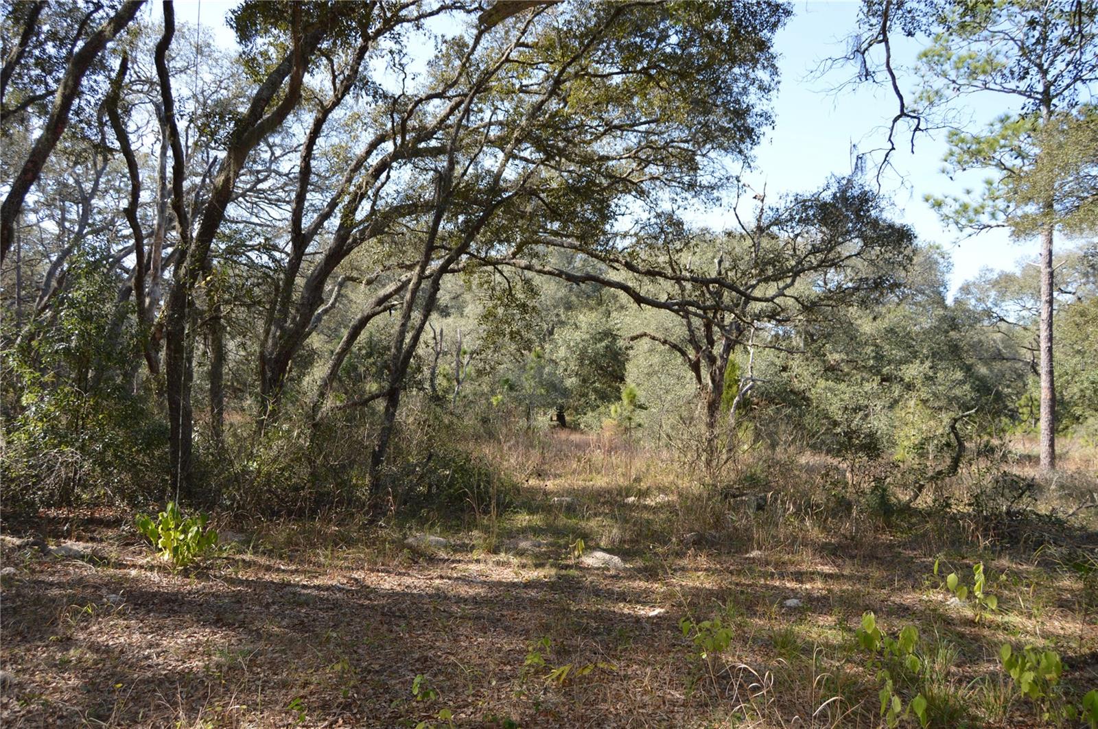 00 UNNAMED — photo 16