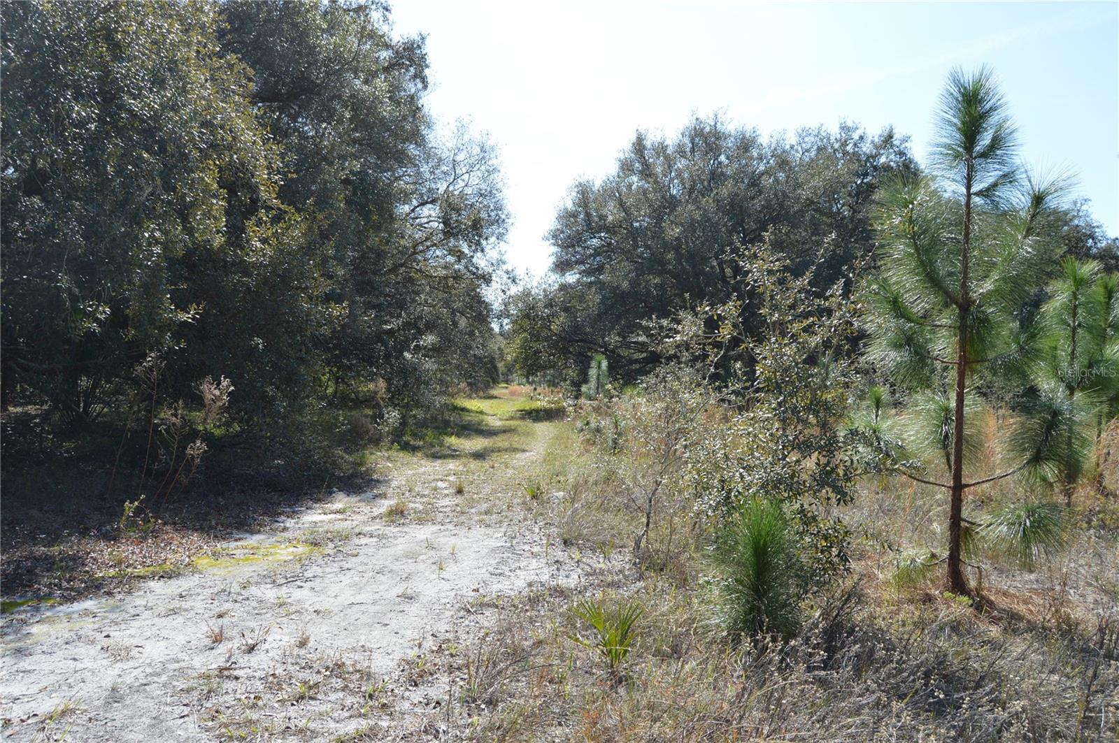 00 UNNAMED — photo 9