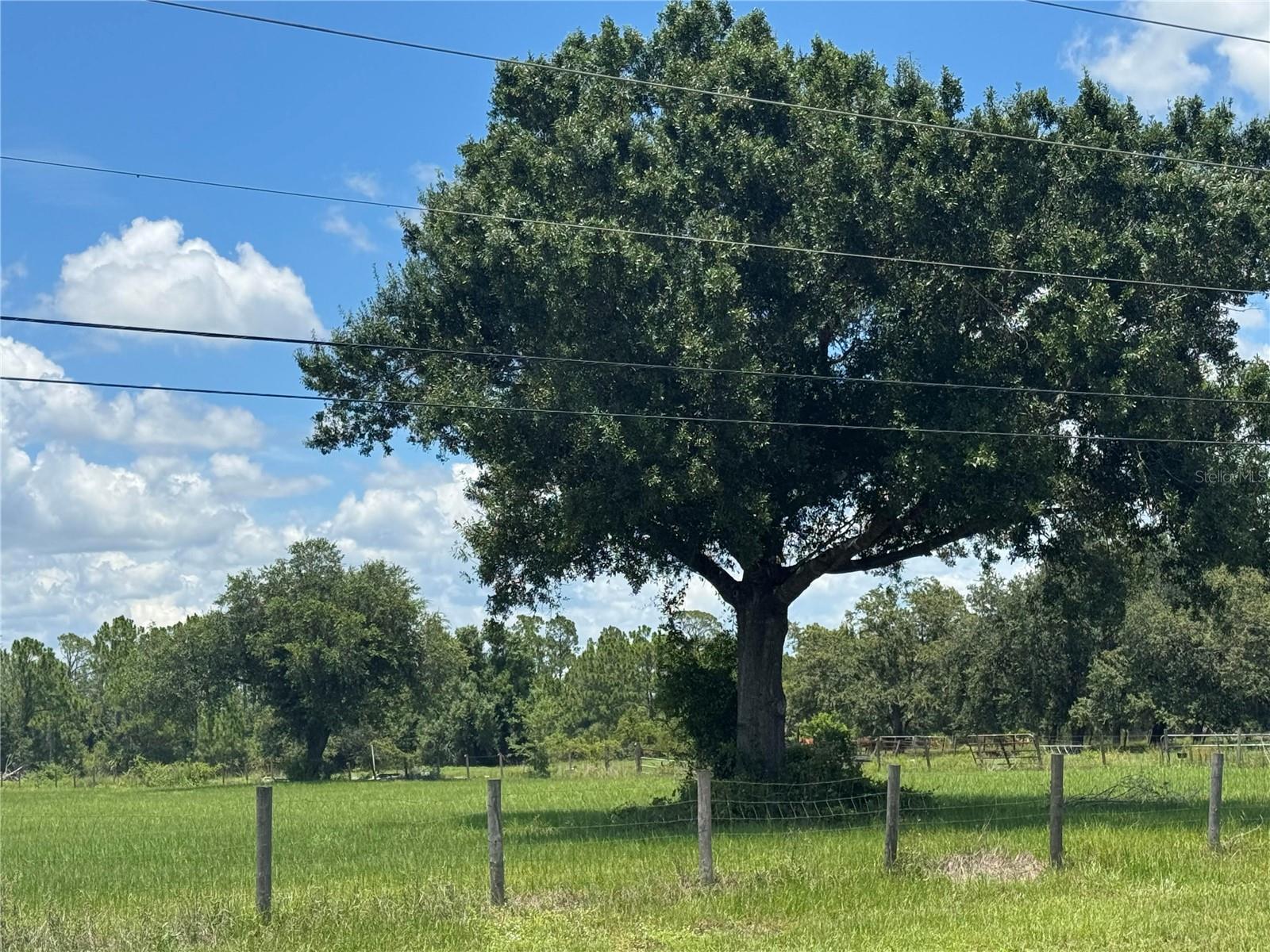Lot 12 TROPICAIRE BLVD — photo 2