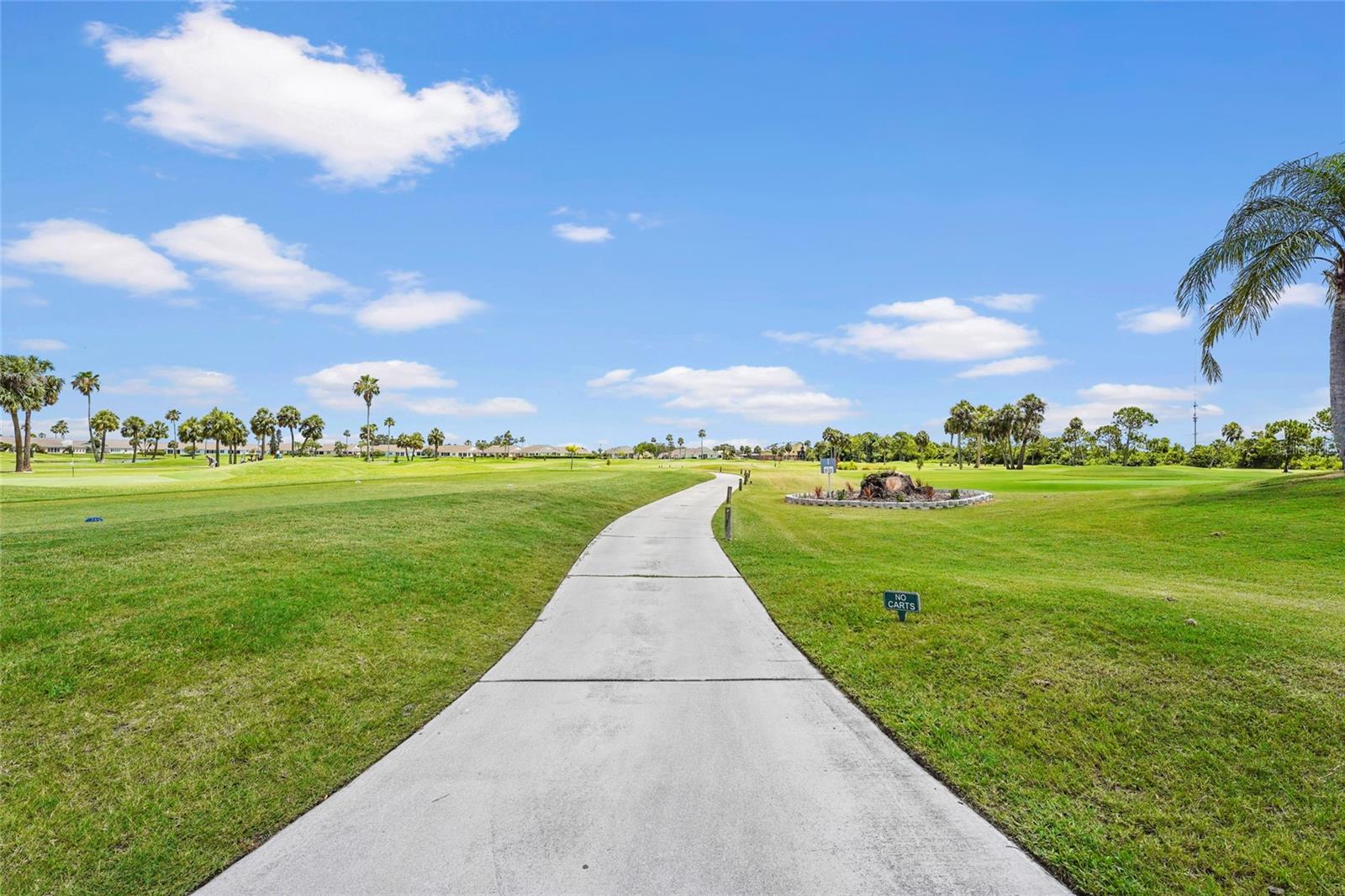 2417 FAIRWAY OAKS DR #22 — photo 84