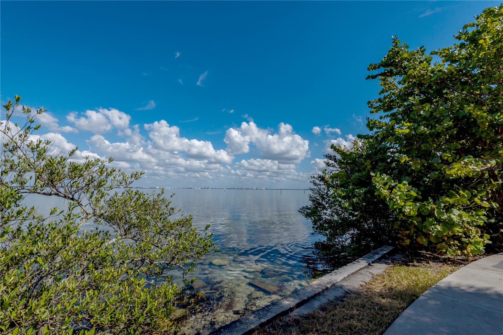 6210 BAYSHORE BLVD — photo 37