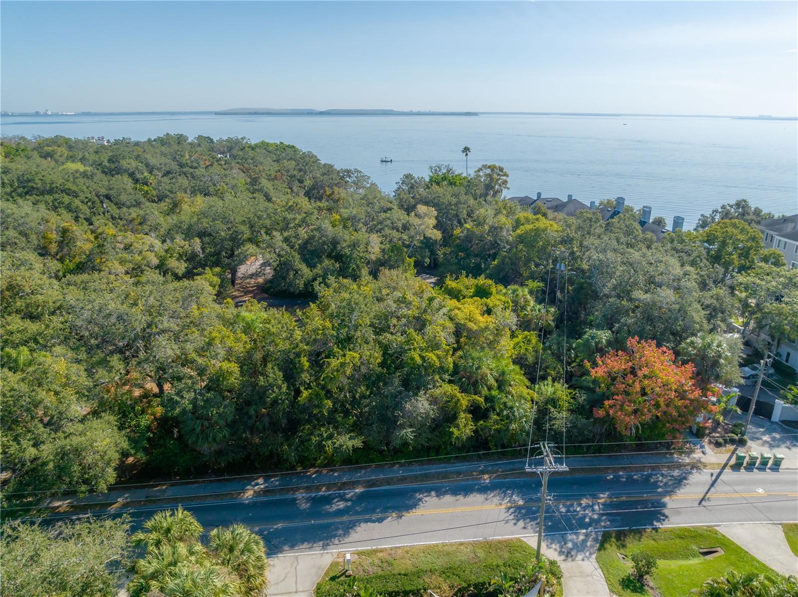 6210 BAYSHORE BLVD — photo 15