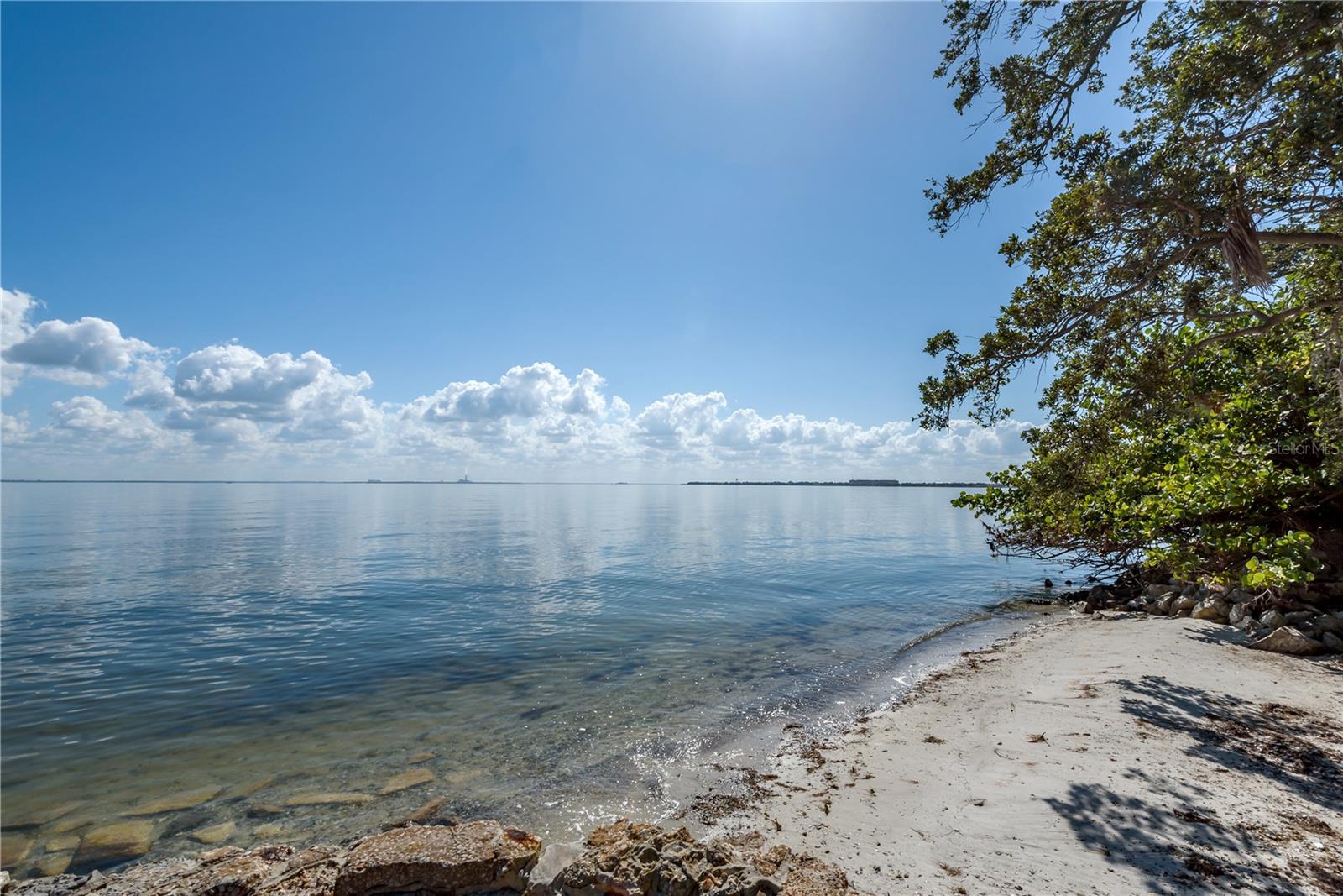 6210 BAYSHORE BLVD — photo 9