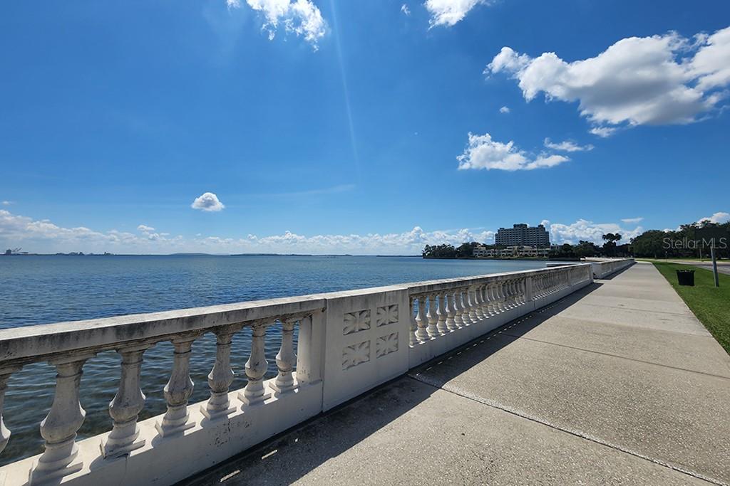 6210 BAYSHORE BLVD — photo 32