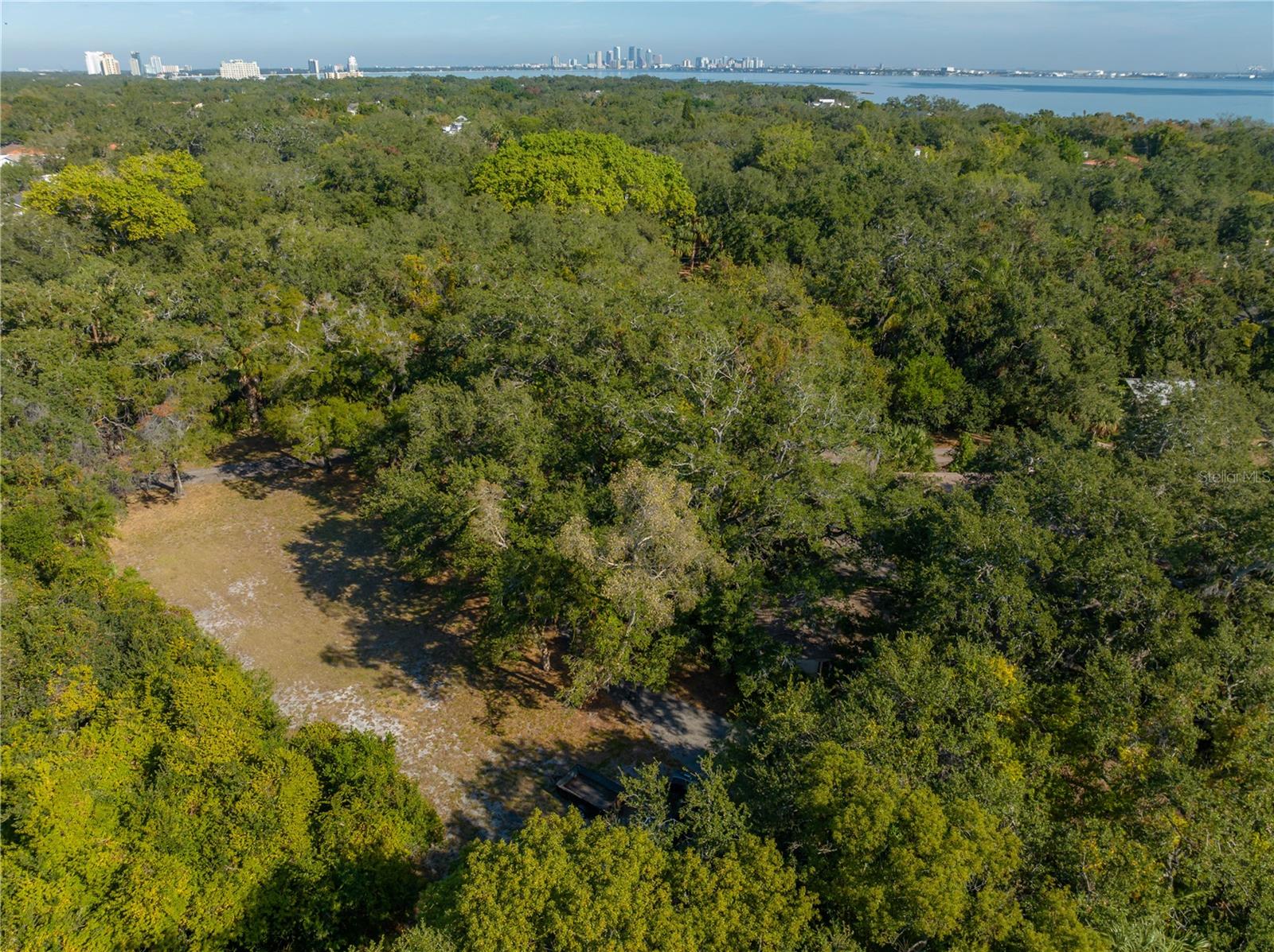 6210 BAYSHORE BLVD — photo 13