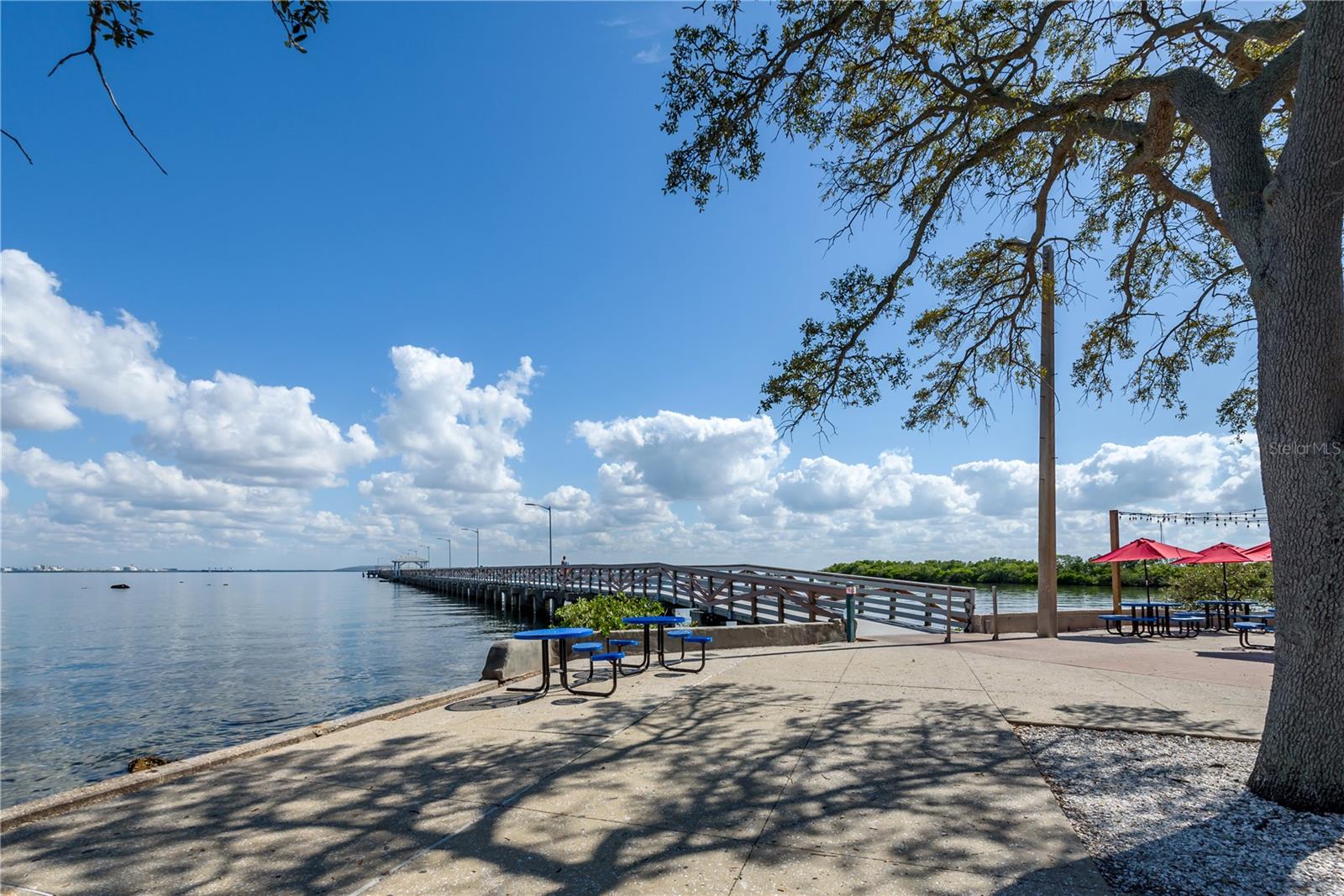6210 BAYSHORE BLVD — photo 38