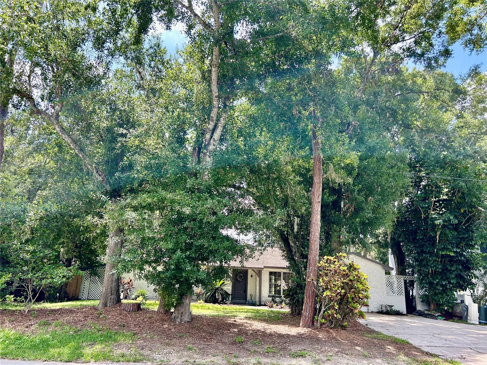 17017 PAULA LN — photo 8