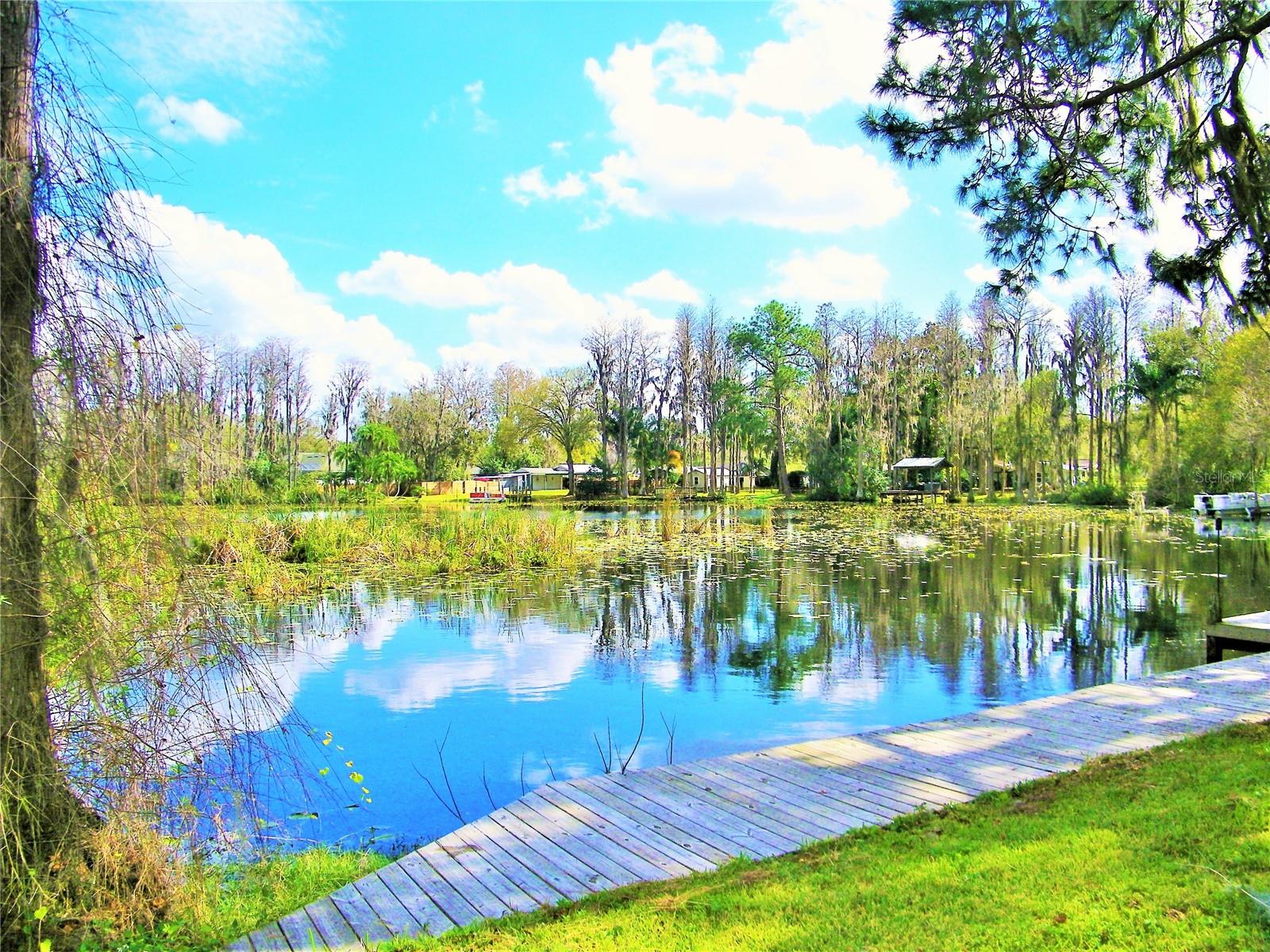17017 PAULA LN — photo 45