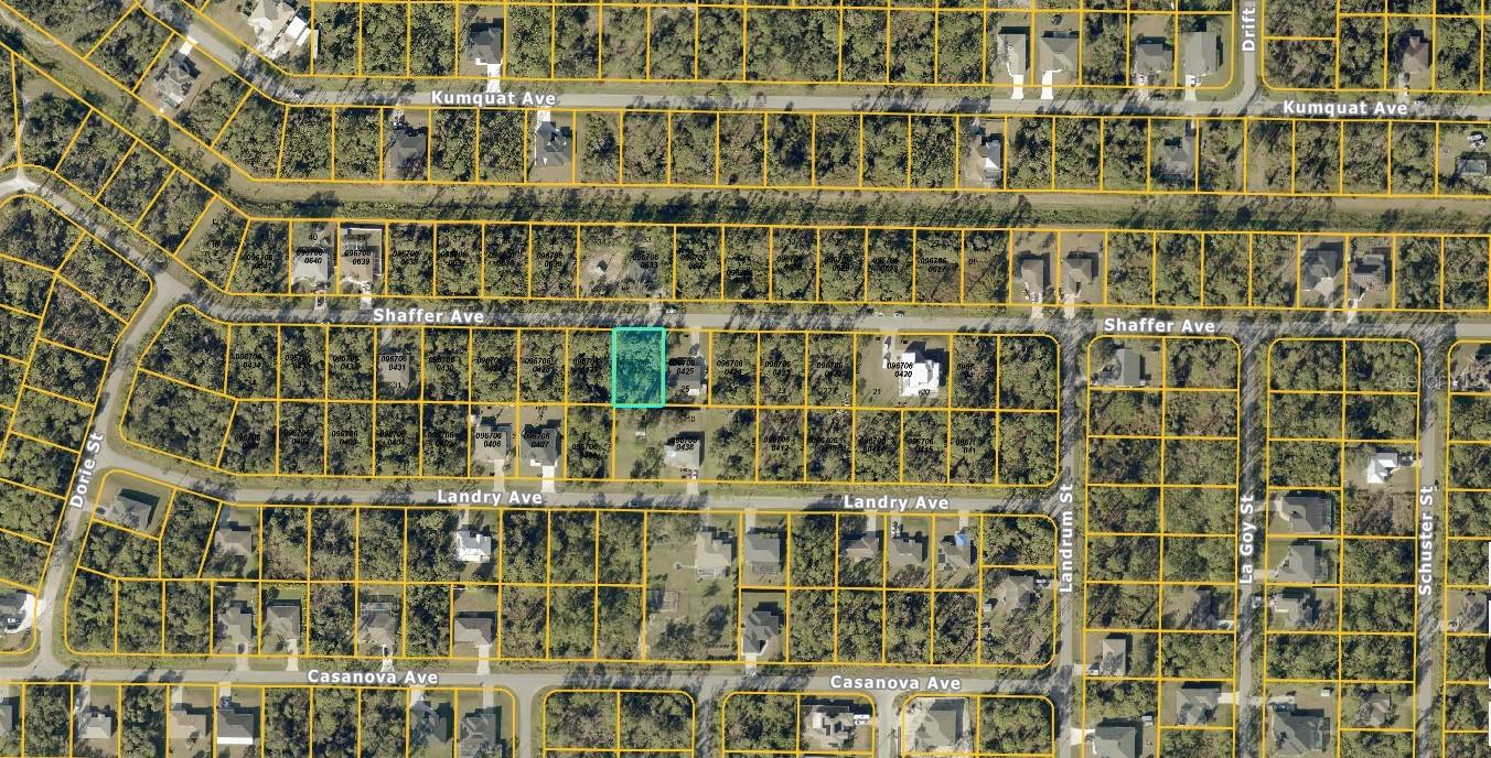 0967060426 SHAFFER AVE — photo 3