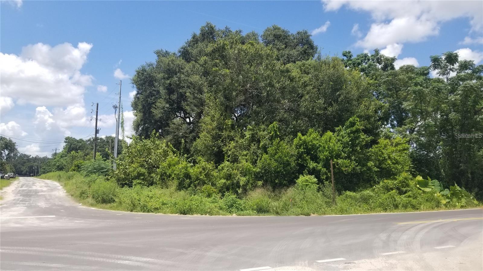 4137 NEW RIVER RD — photo 5