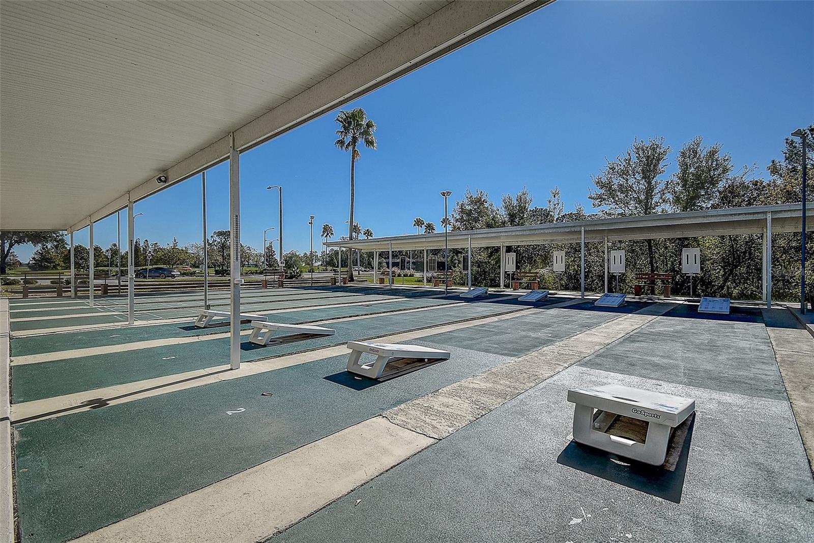 29417 CADDYSHACK LN — photo 42