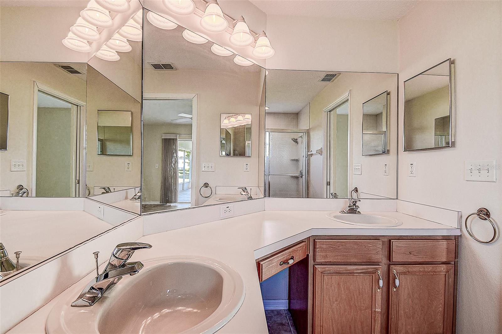 29417 CADDYSHACK LN — photo 16