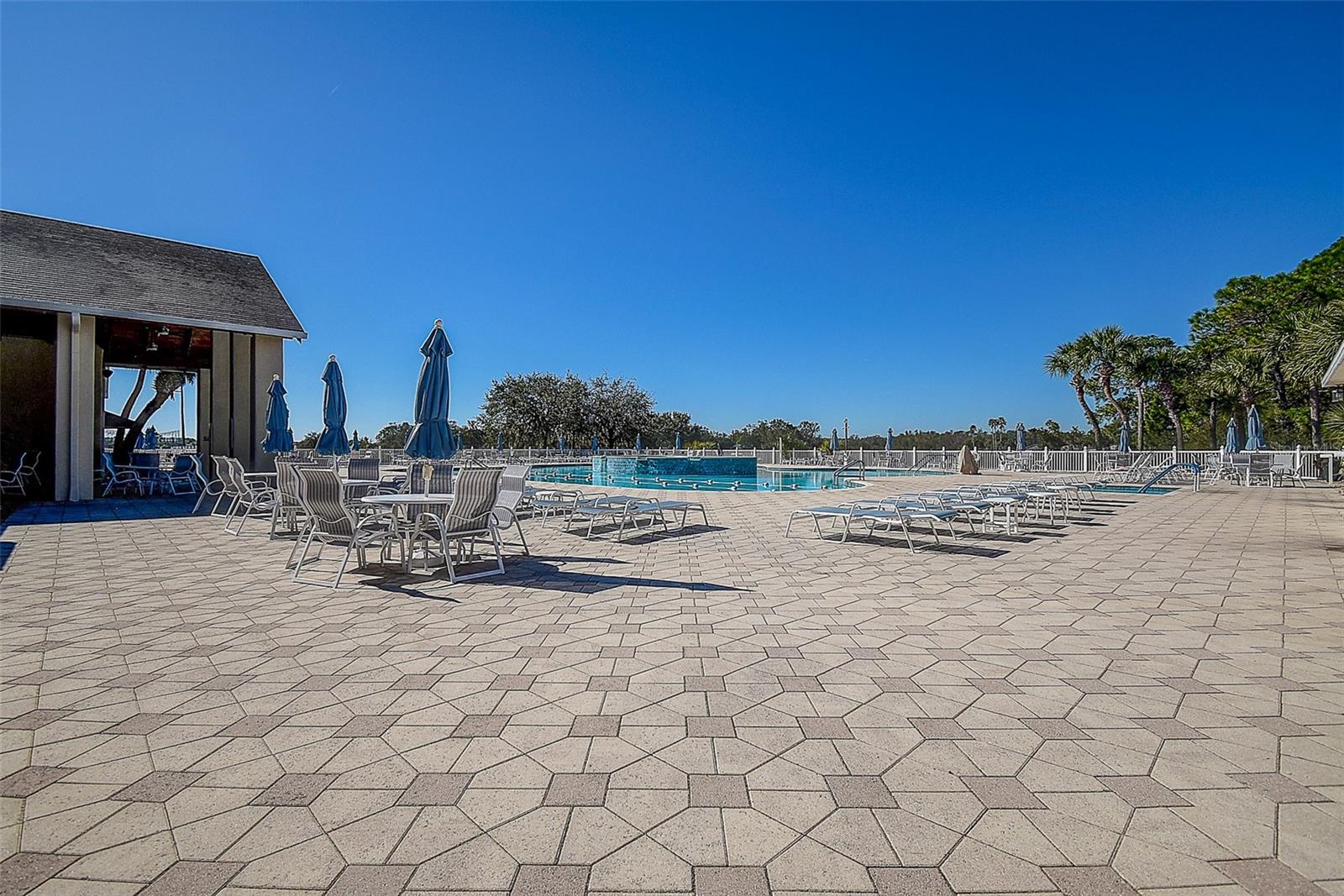 29417 CADDYSHACK LN — photo 38