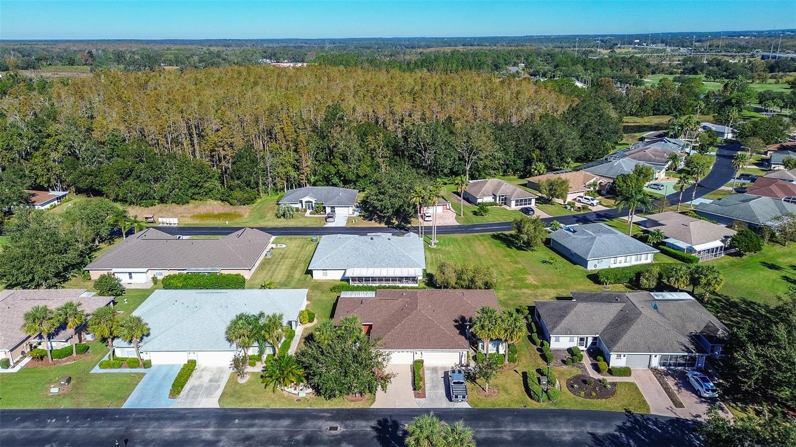 29417 CADDYSHACK LN — photo 30