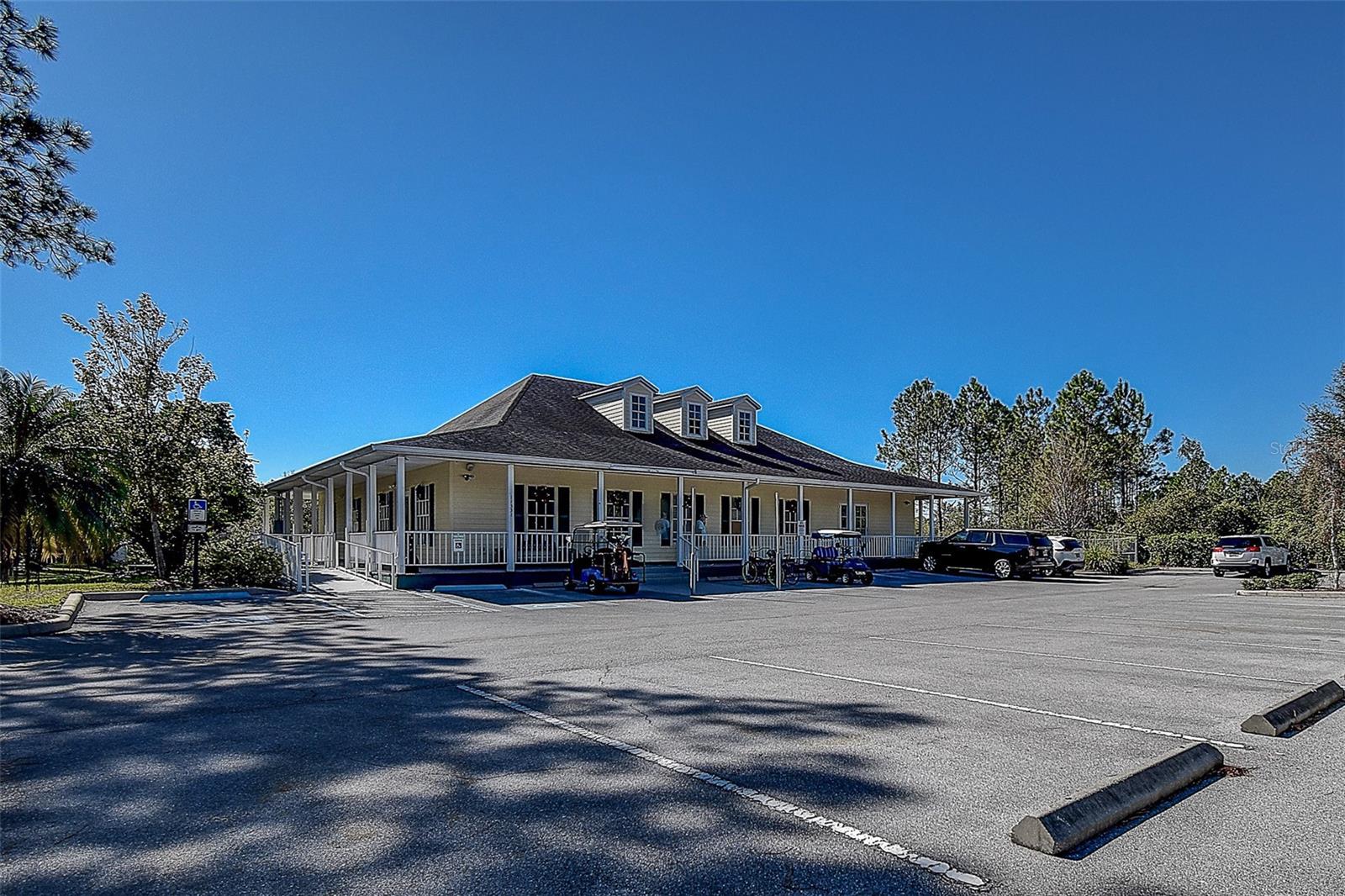 29417 CADDYSHACK LN — photo 45