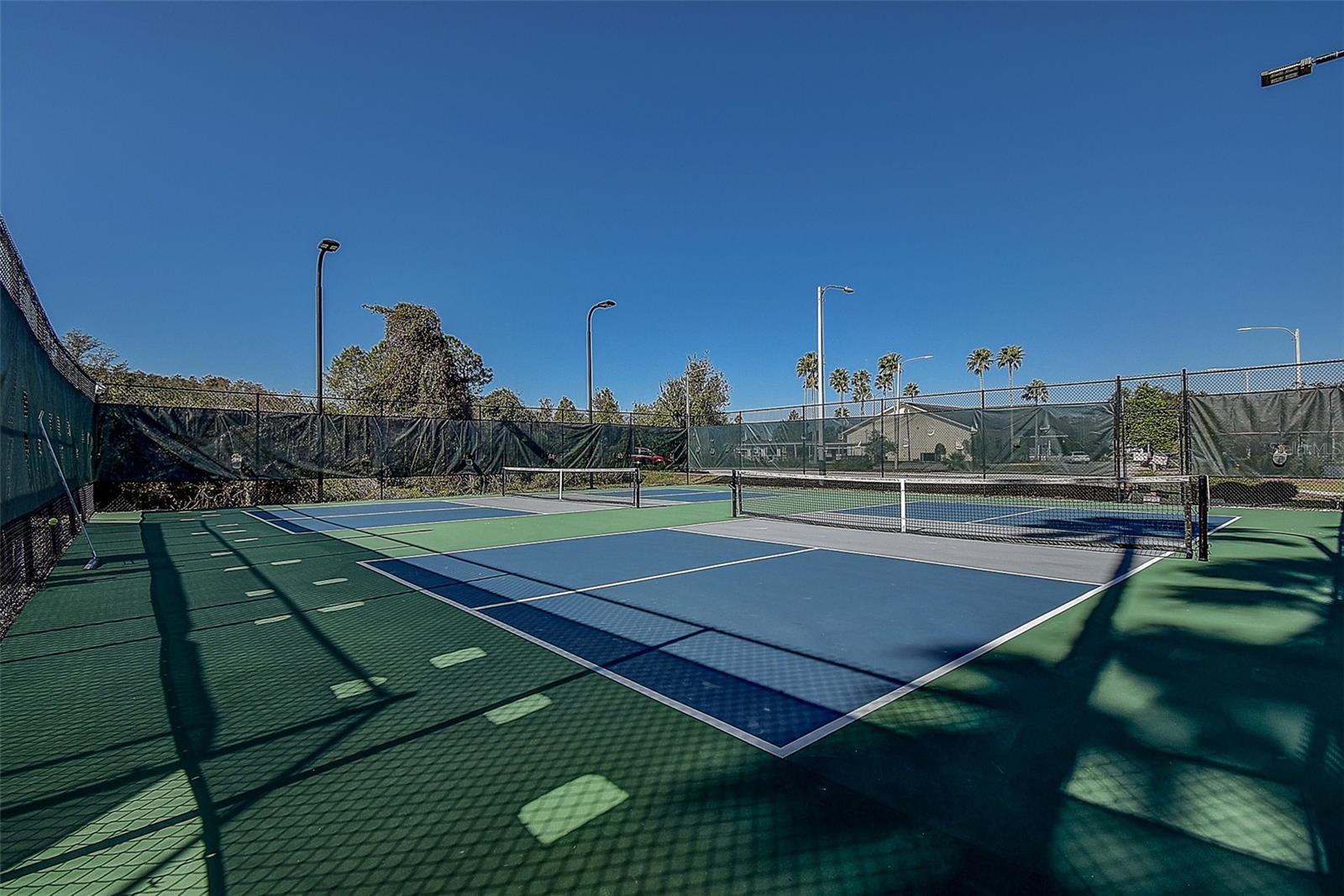 29417 CADDYSHACK LN — photo 40