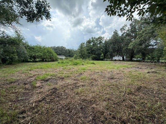 3011 S WIGGINS RD — photo 4
