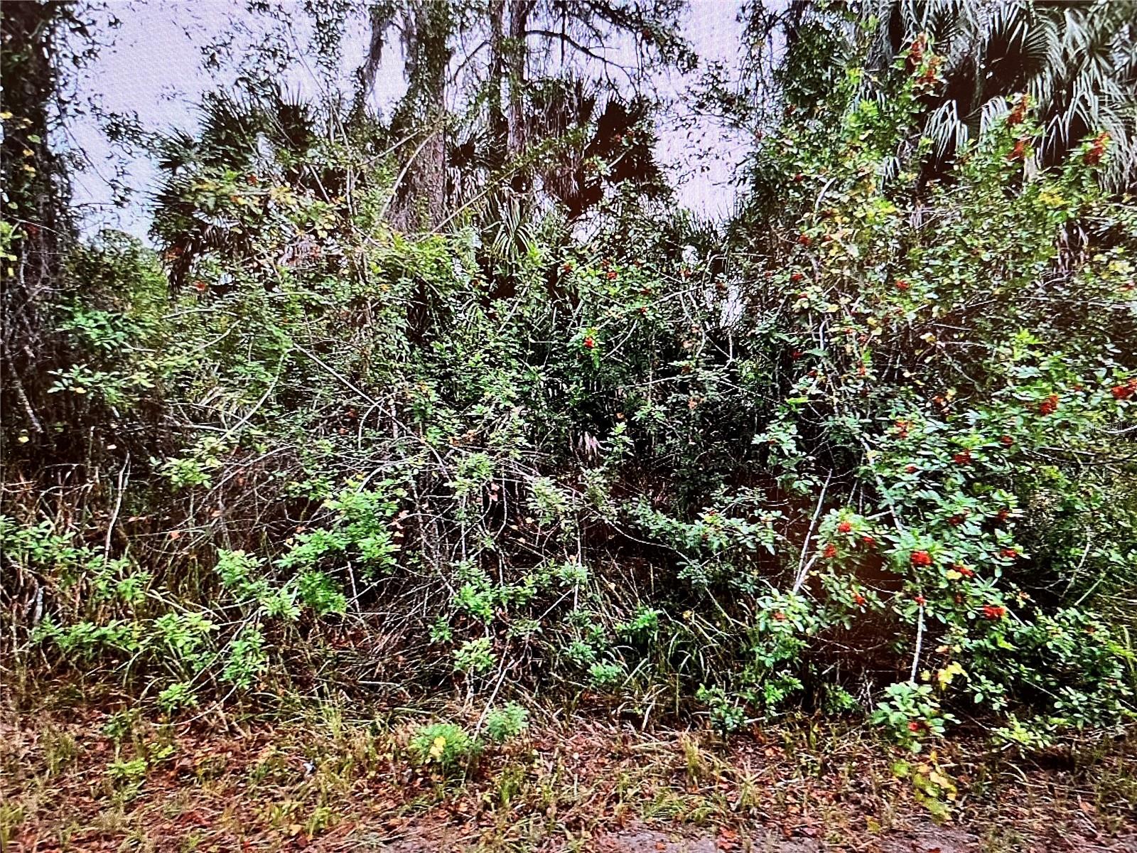 LOT 24 CAMPBELL ST — photo 2