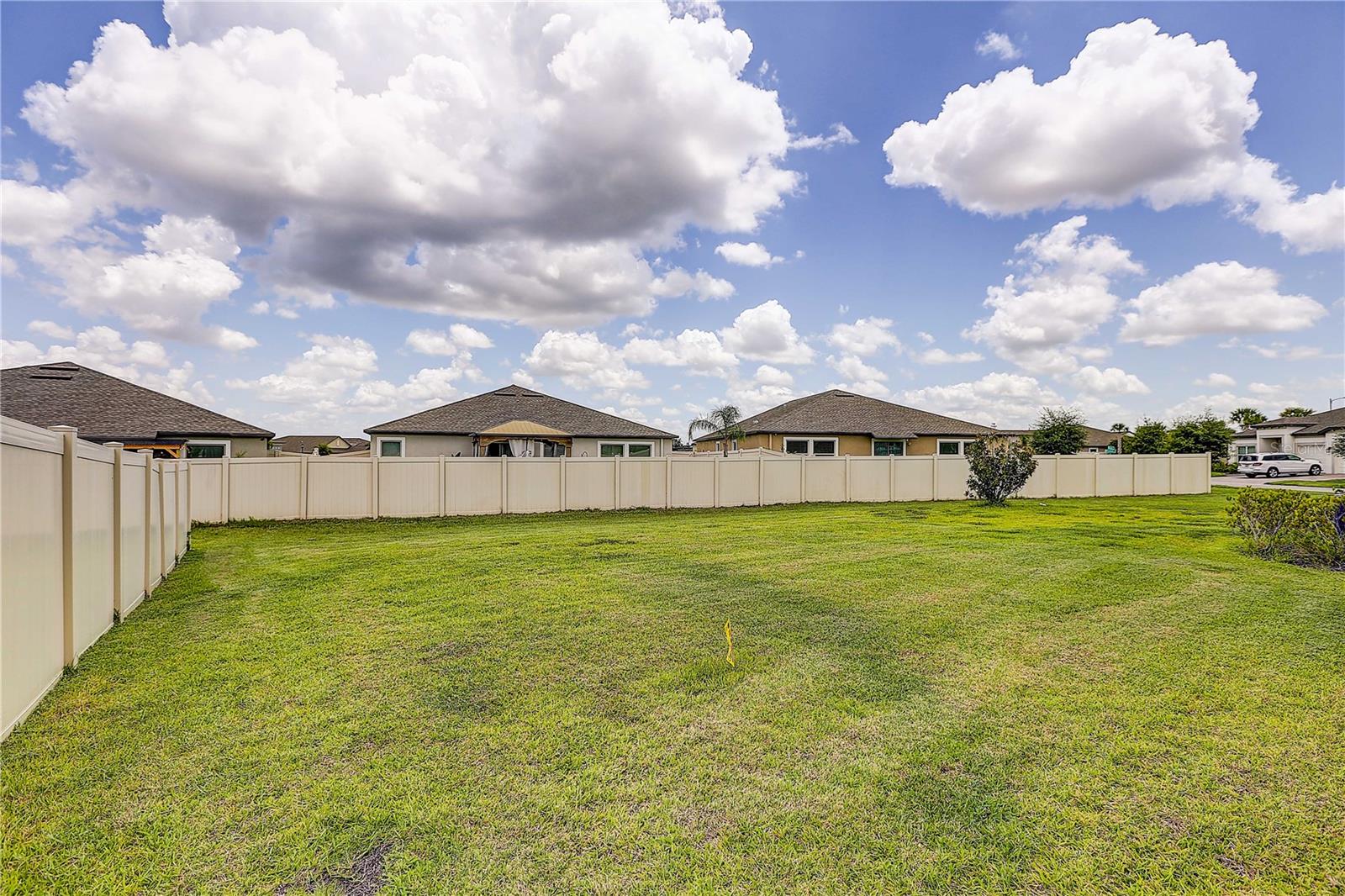 10146 TUSCAN SUN AVE — photo 31