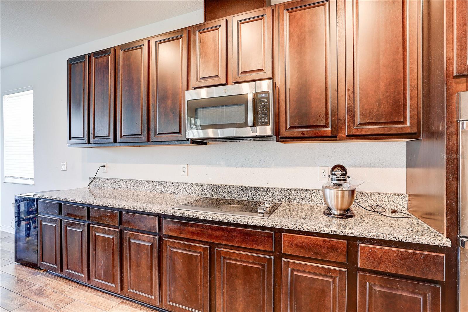 10146 TUSCAN SUN AVE — photo 11