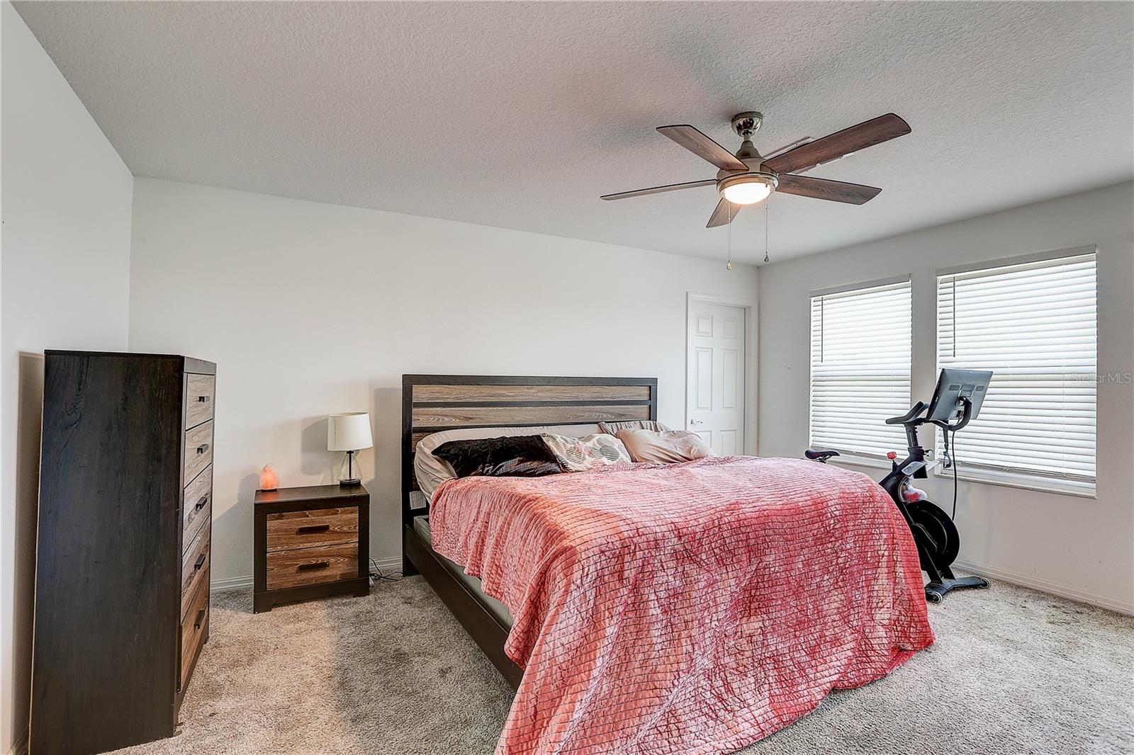 10146 TUSCAN SUN AVE — photo 19