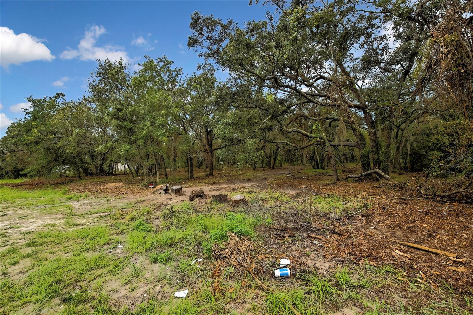 0 OLD SHADY HILLS RD — photo 15