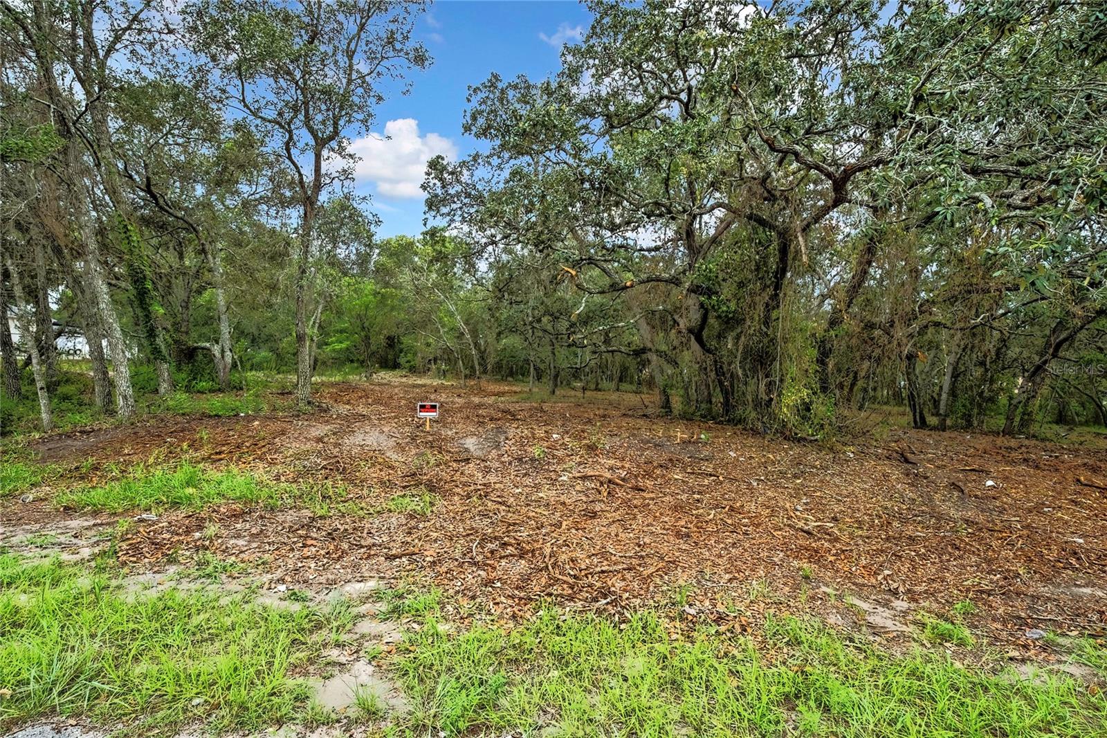 0 OLD SHADY HILLS RD — photo 11
