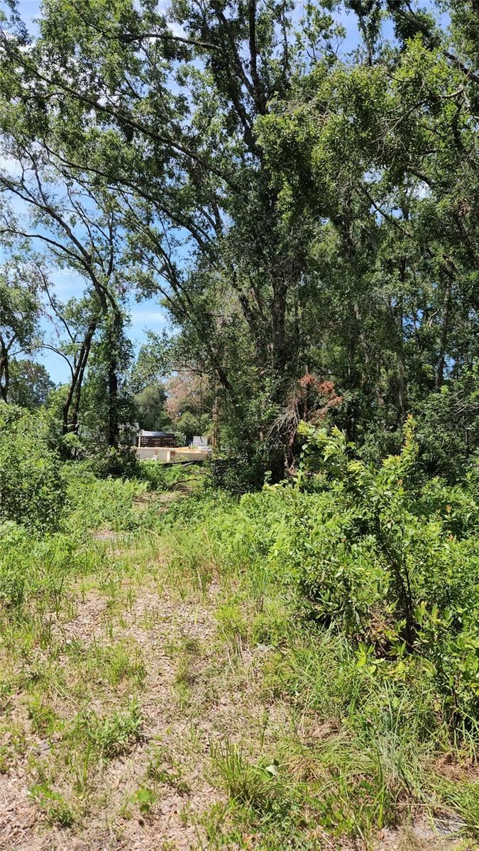 7624 ANNO ST — photo 2