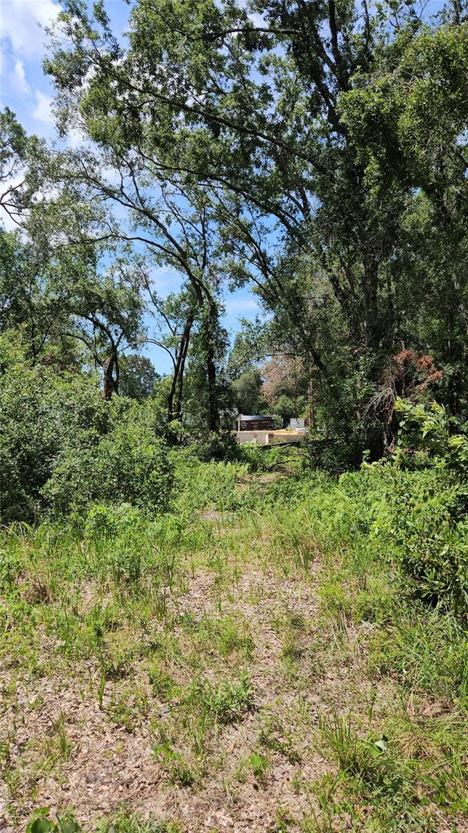 7624 ANNO ST — photo 3