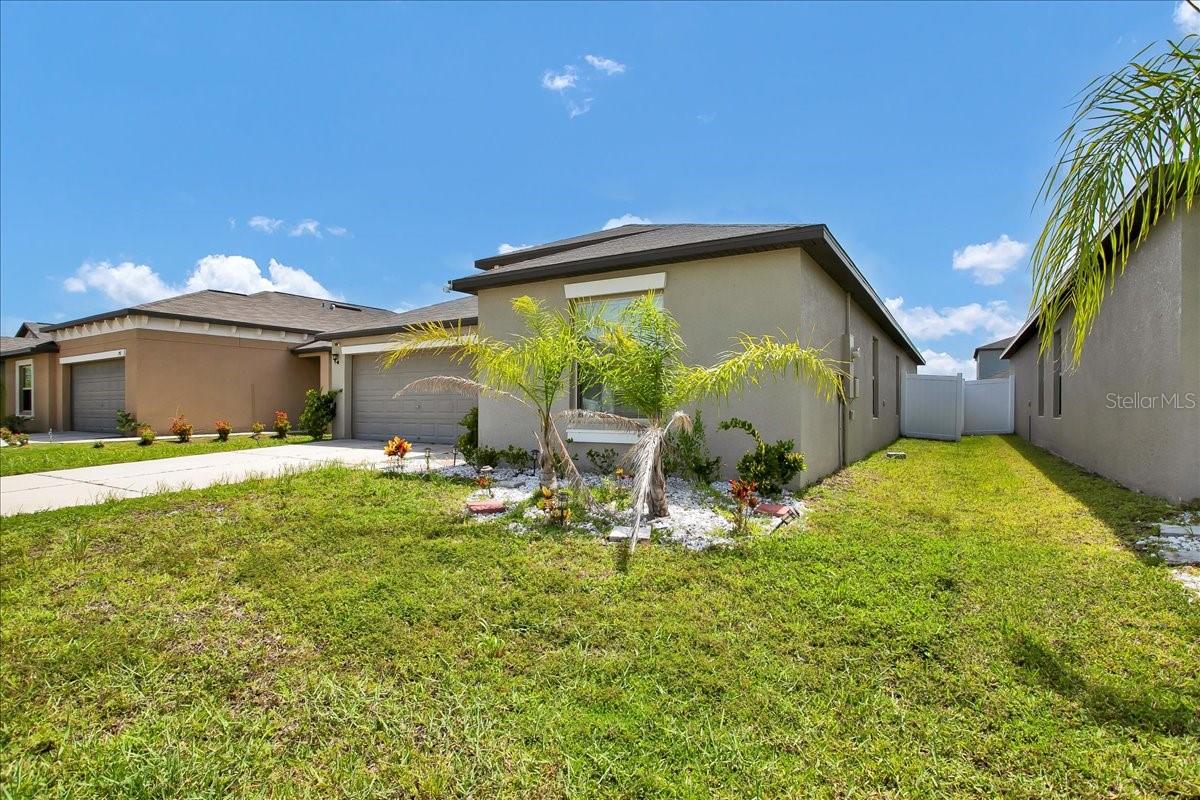 769 CALICO SCALLOP ST — photo 2
