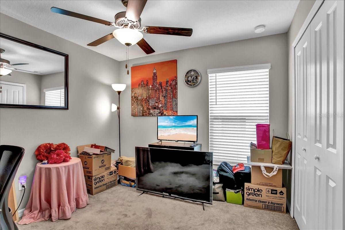 769 CALICO SCALLOP ST — photo 36