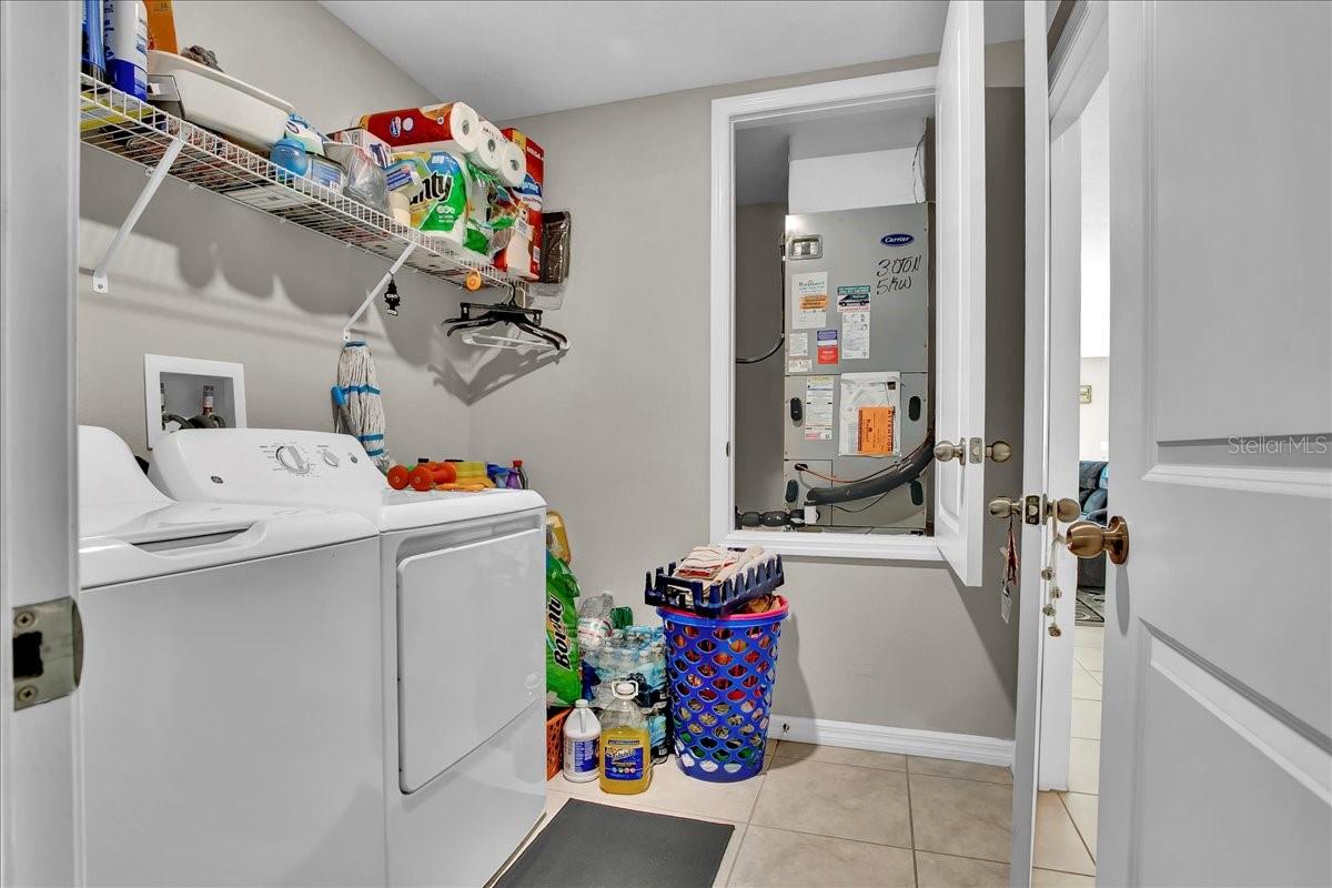769 CALICO SCALLOP ST — photo 48