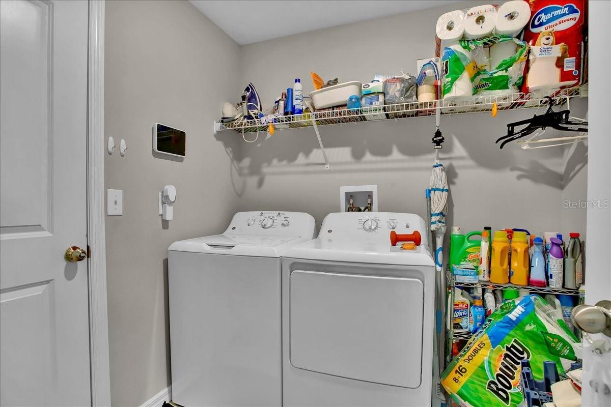 769 CALICO SCALLOP ST — photo 46