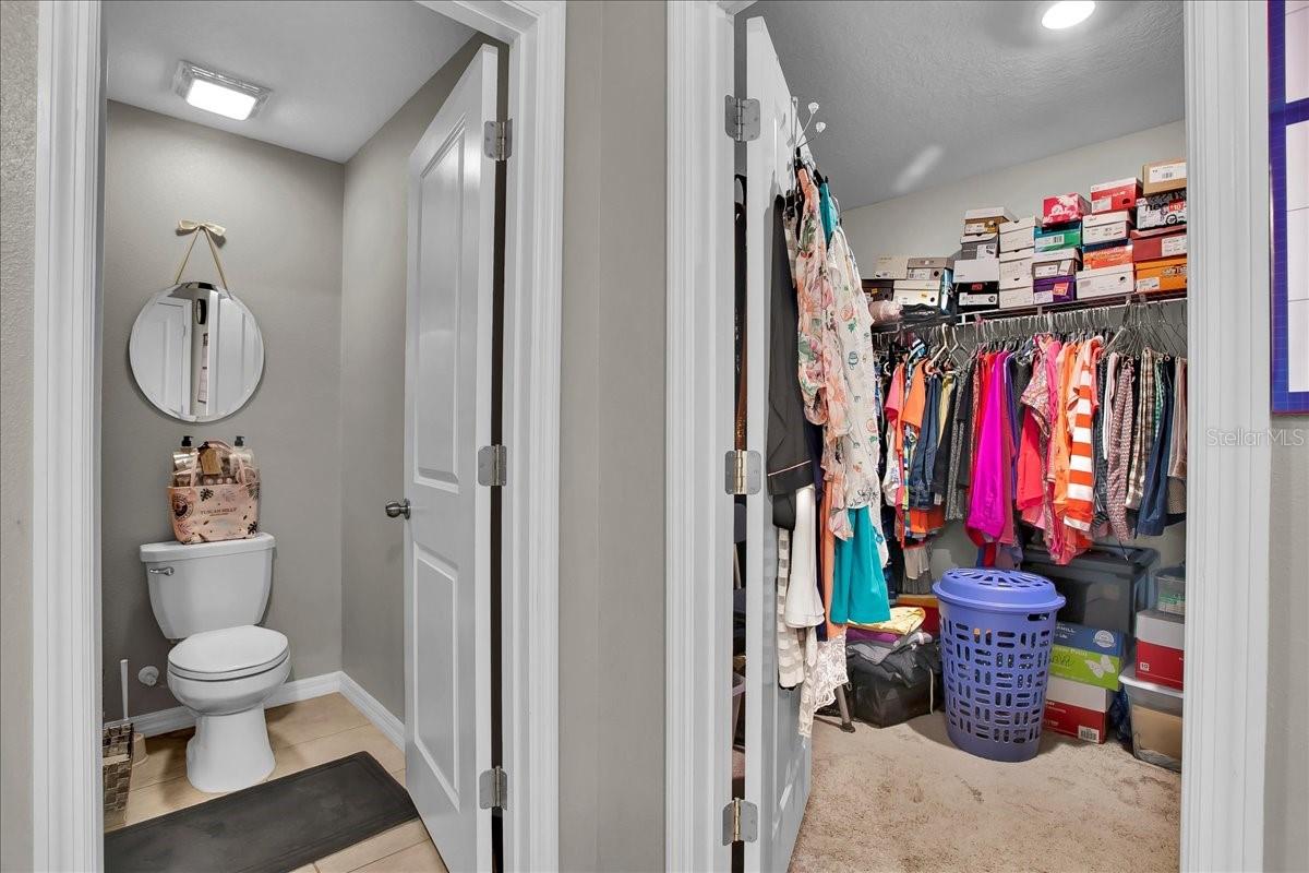 769 CALICO SCALLOP ST — photo 75