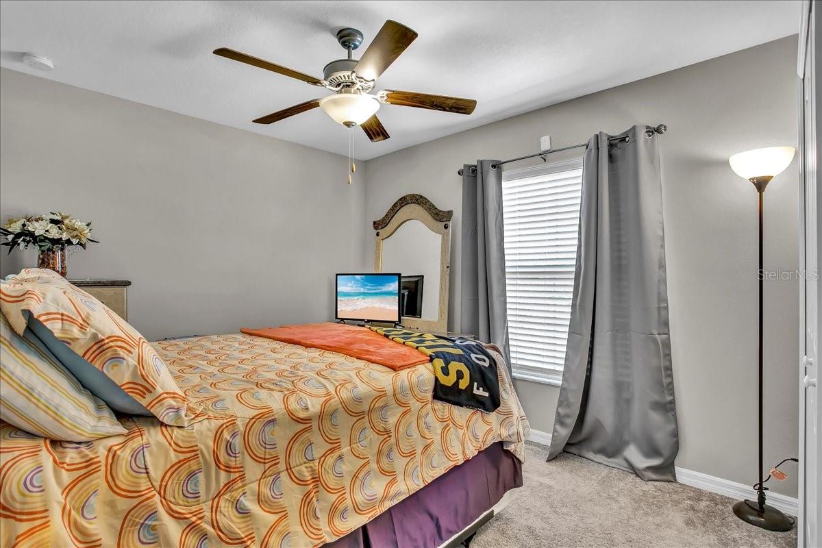 769 CALICO SCALLOP ST — photo 20