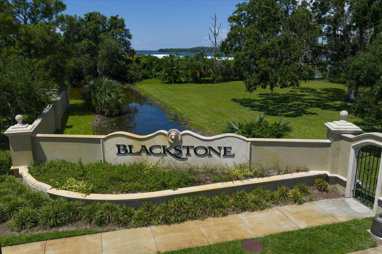 0 BLACKSTONE DR — photo 3