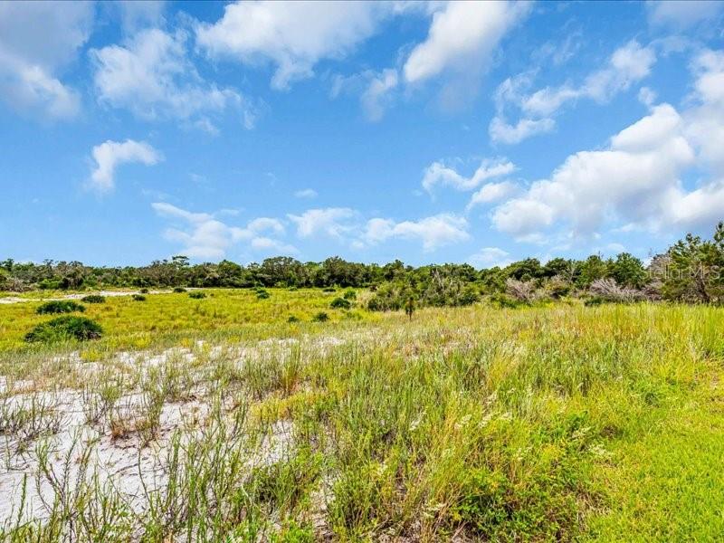 5054 LAKE TOSCANA DR — photo 46