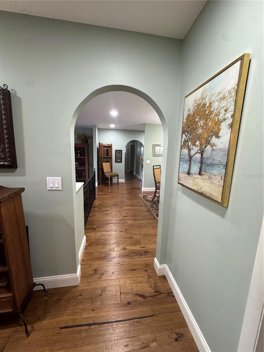 3545 LAKE PADGETT DR — photo 14