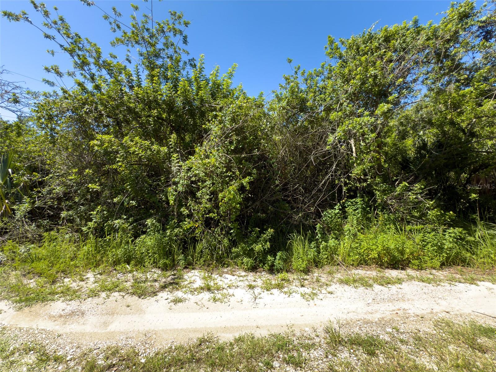 12020 BULLFROG CREEK RD — photo 14