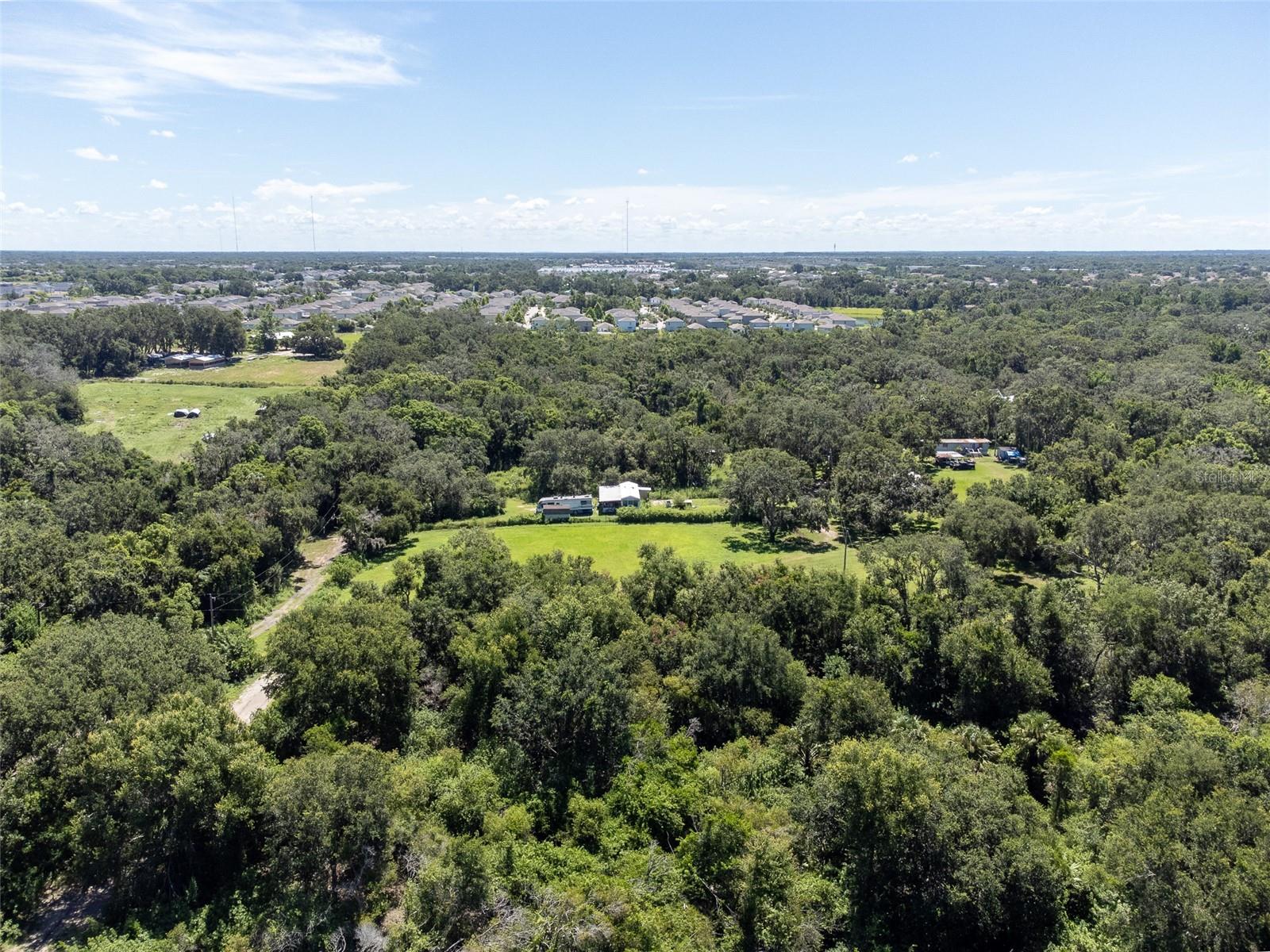 12020 BULLFROG CREEK RD — photo 6