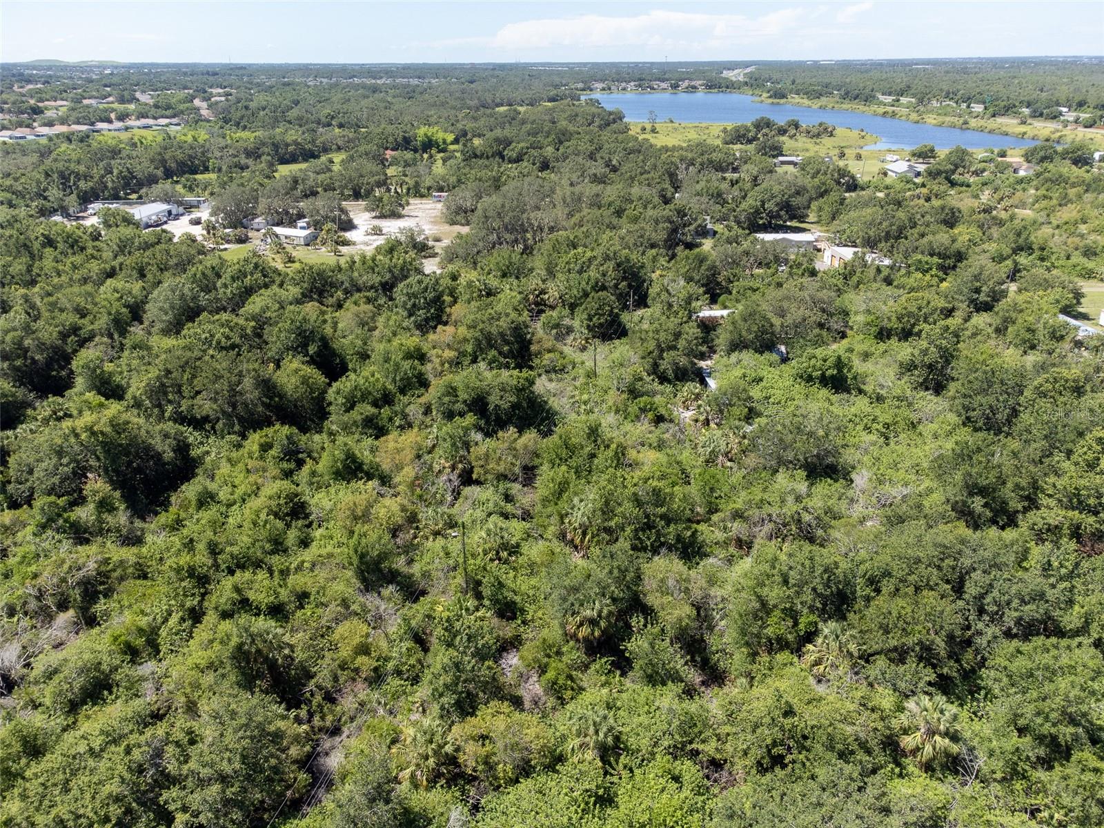 12020 BULLFROG CREEK RD — photo 3