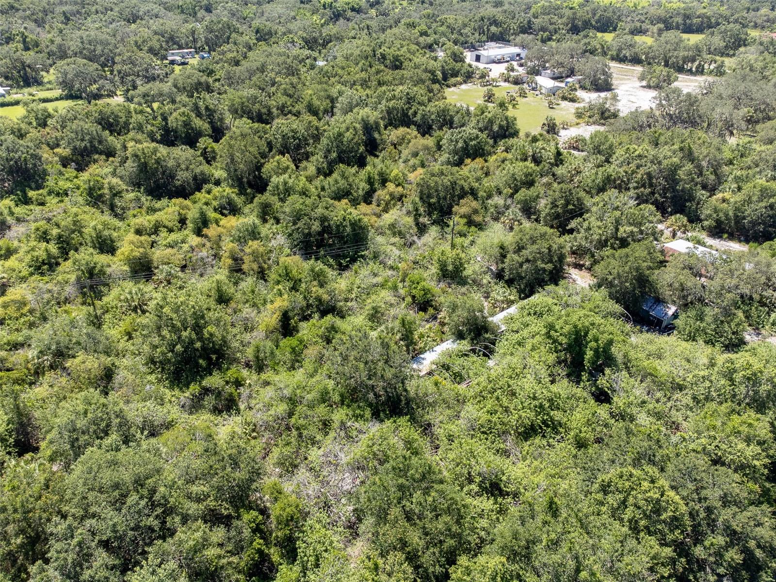 12020 BULLFROG CREEK RD — photo 13