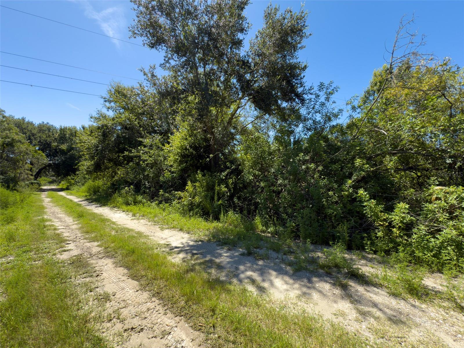 12020 BULLFROG CREEK RD — photo 15