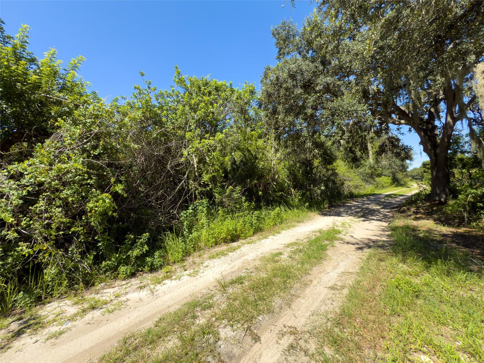 12020 BULLFROG CREEK RD — photo 7