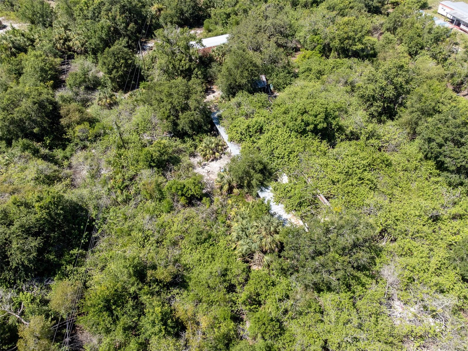 12020 BULLFROG CREEK RD — photo 4