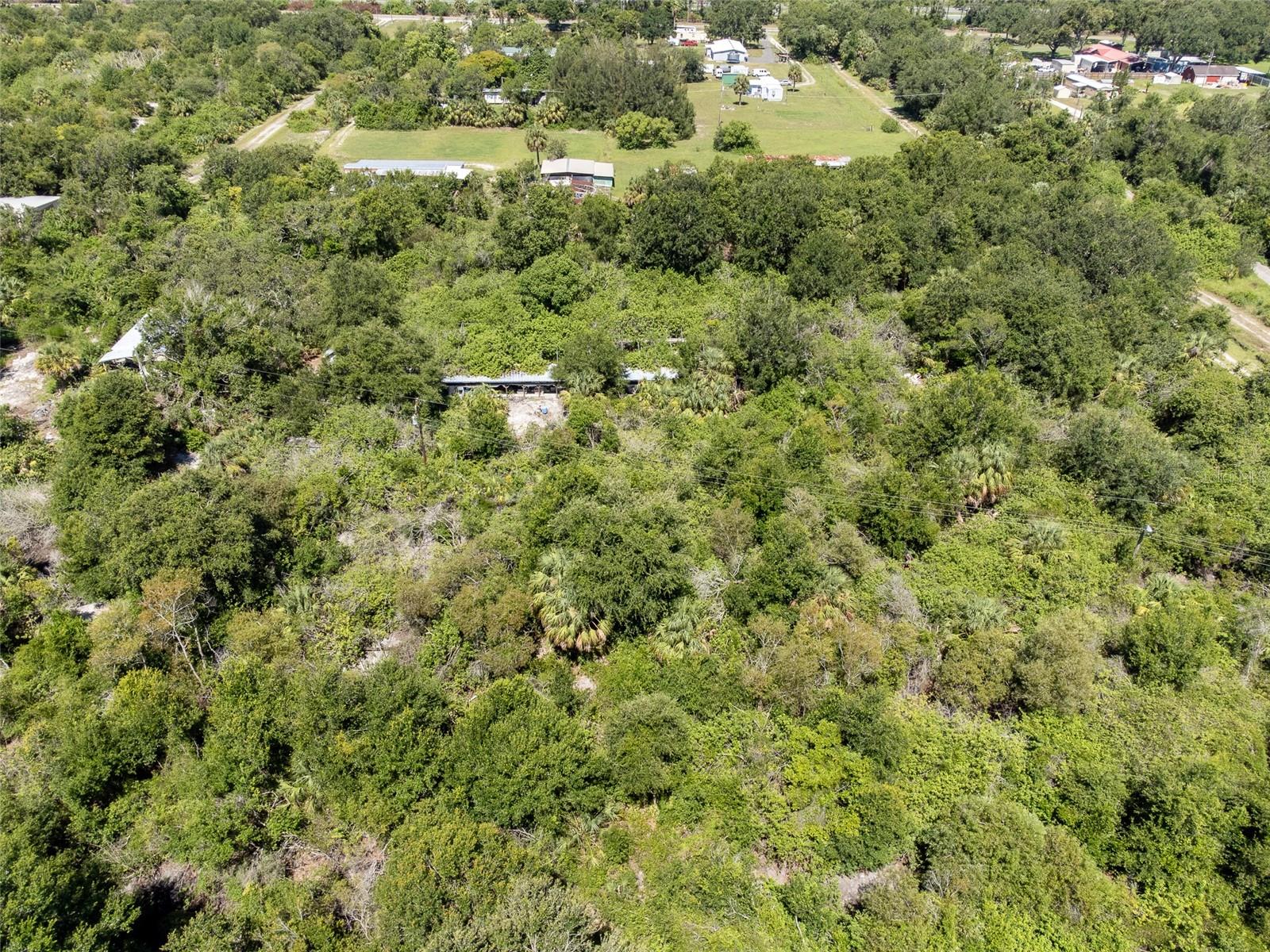 12020 BULLFROG CREEK RD — photo 10