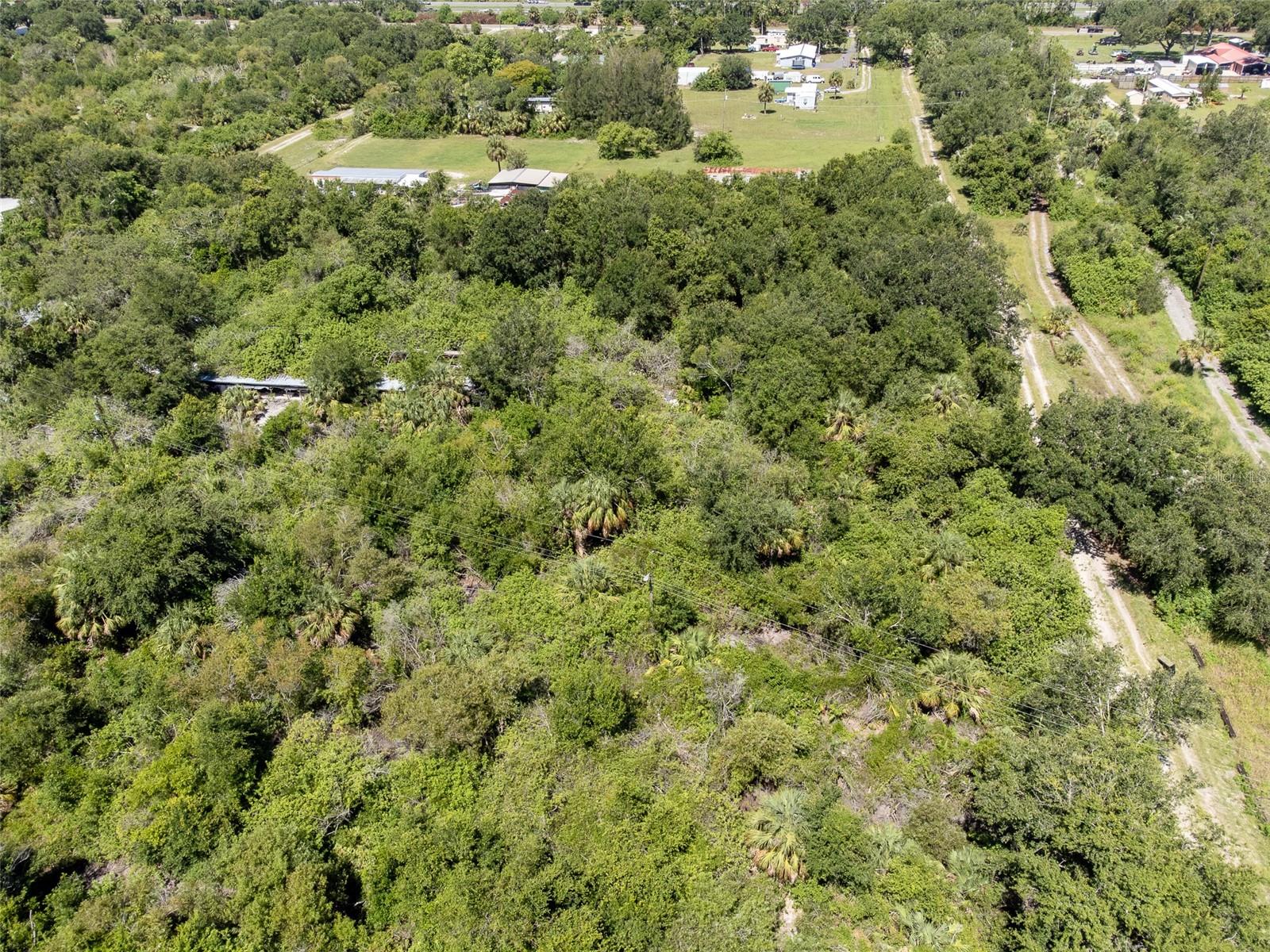 12020 BULLFROG CREEK RD — photo 12