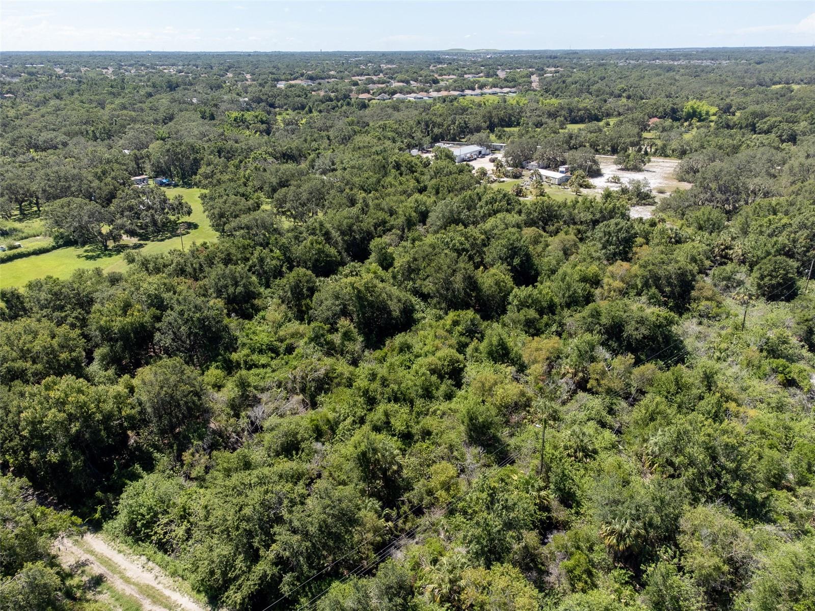 12020 BULLFROG CREEK RD — photo 5